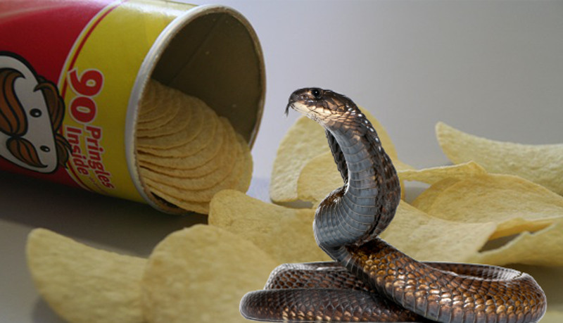 Kobra i čips