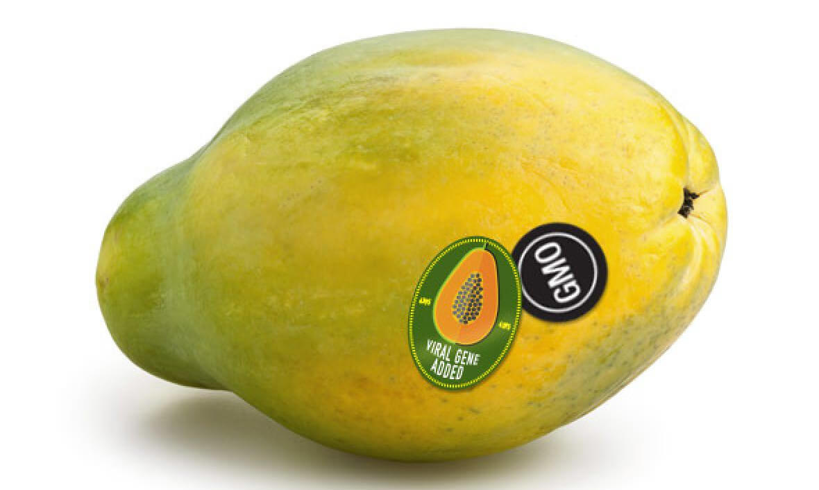 Avokado