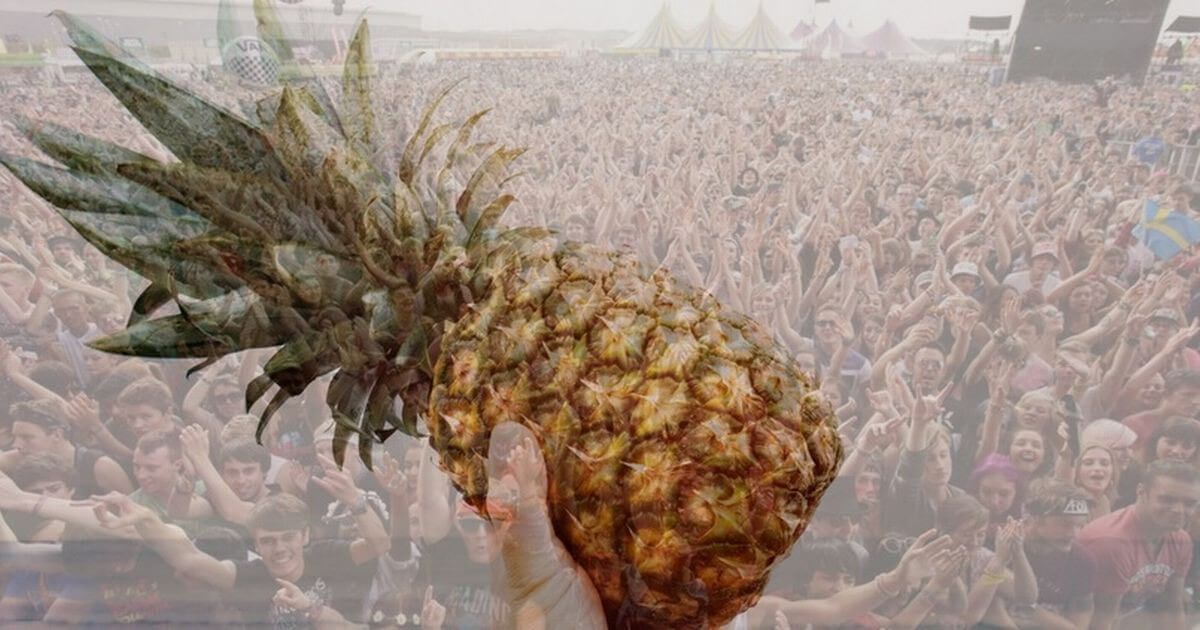 Ananas