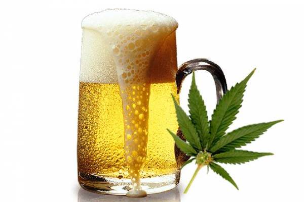 pivo marihuana naslovna