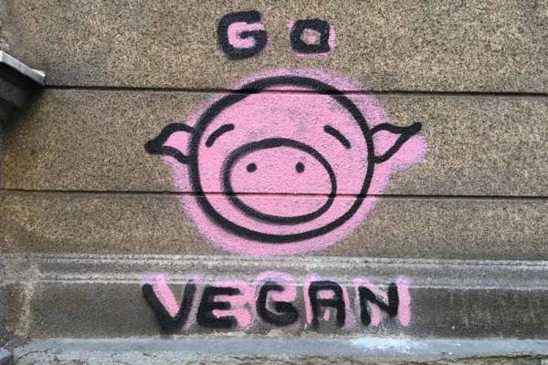 go vegan grafiti naslovna