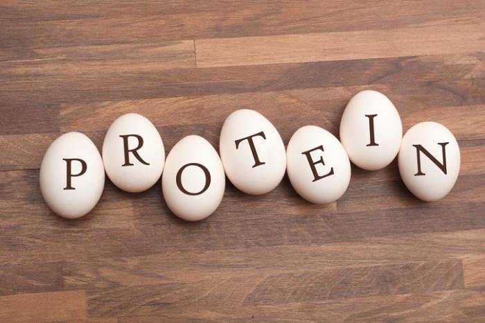 Protein