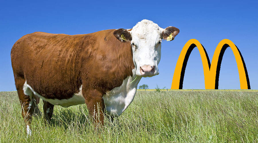Krava na livadi i logo Mek Donaldsa