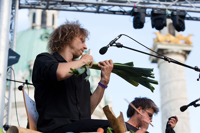 Vegetable Orchestra