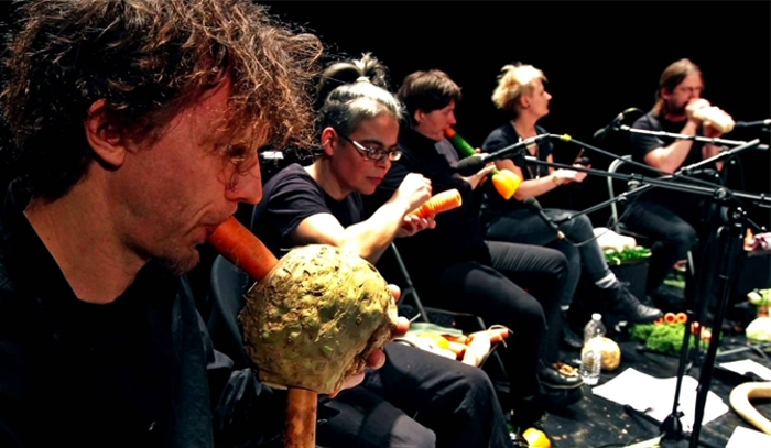 Vegetable Orchestra