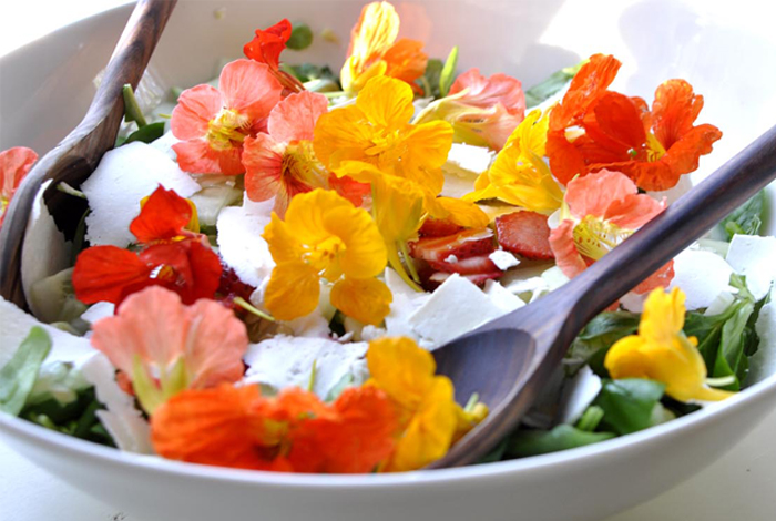 Salata sa jestivim cvećem