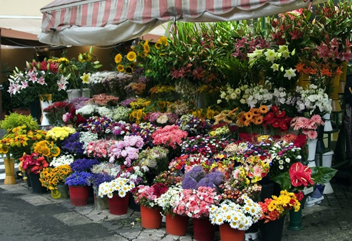 Flower Fair