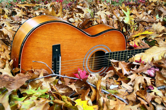 Guitat in the fallen leaves